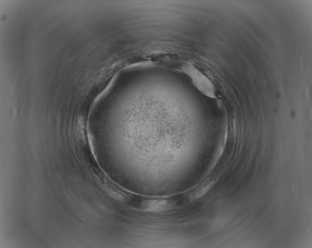 X0000065260575200603031831