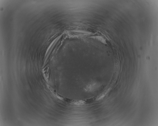 X0000065260576200603031831