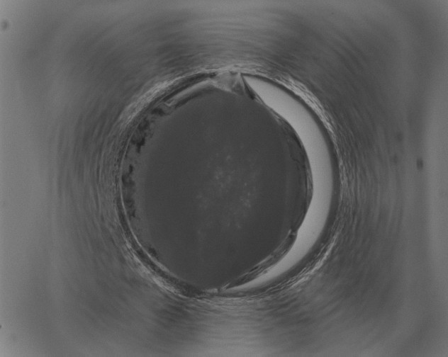 X0000065260577200603031831