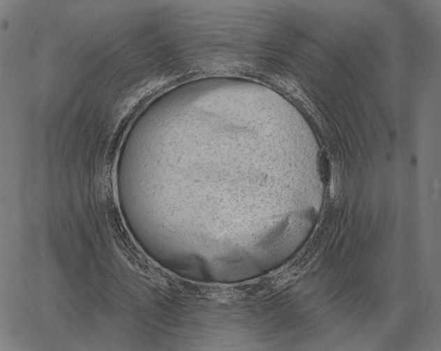 X0000065260579200603031831