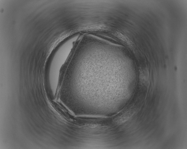 X0000065260582200603031831