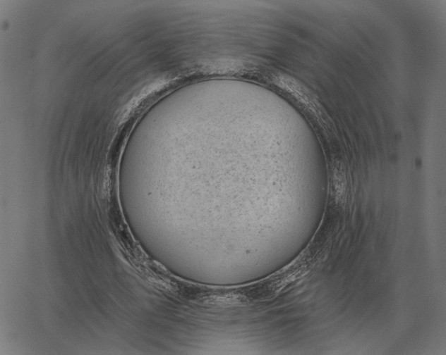 X0000065260583200603031831