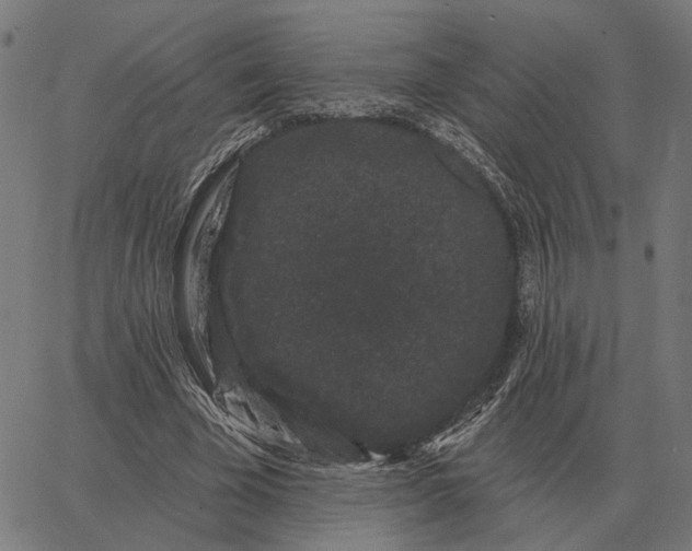 X0000065260585200603031831