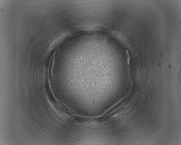 X0000065260586200603031831