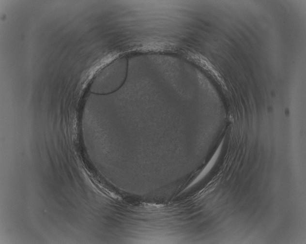 X0000065260588200603031831