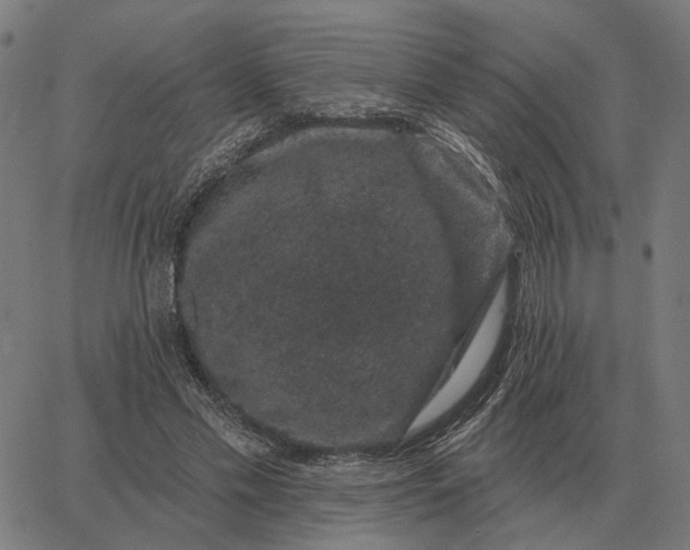 X0000065260589200603031831