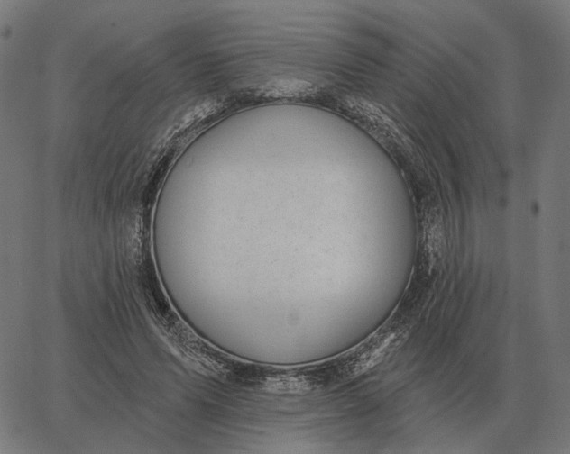 X0000065260591200603031830