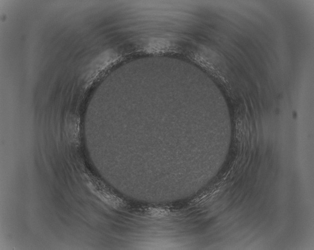 X0000065260592200603031830