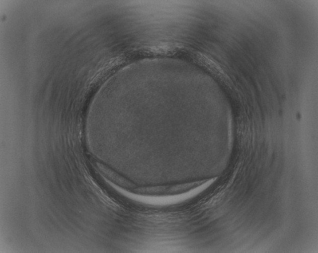 X0000065260593200603031830