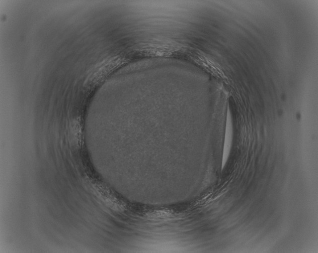 X0000065260594200603031830