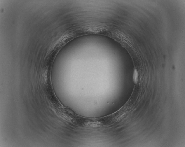 X0000065260595200603031830