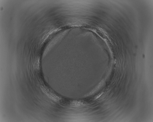 X0000065260596200603031830