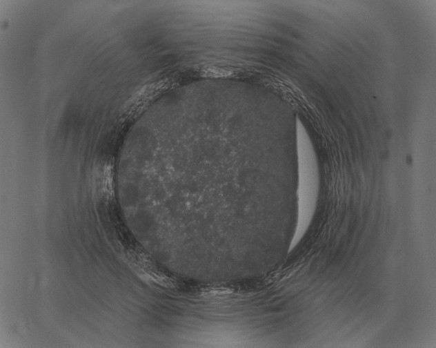 X0000065260598200603031830