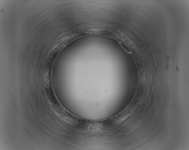 X0000065260599200603031830