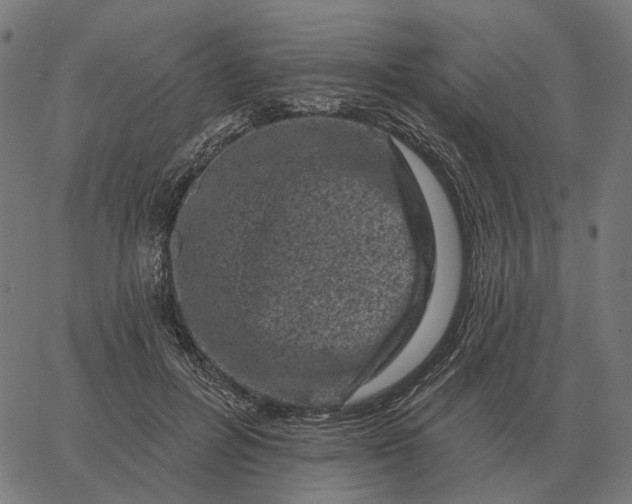 X0000065260600200603031830