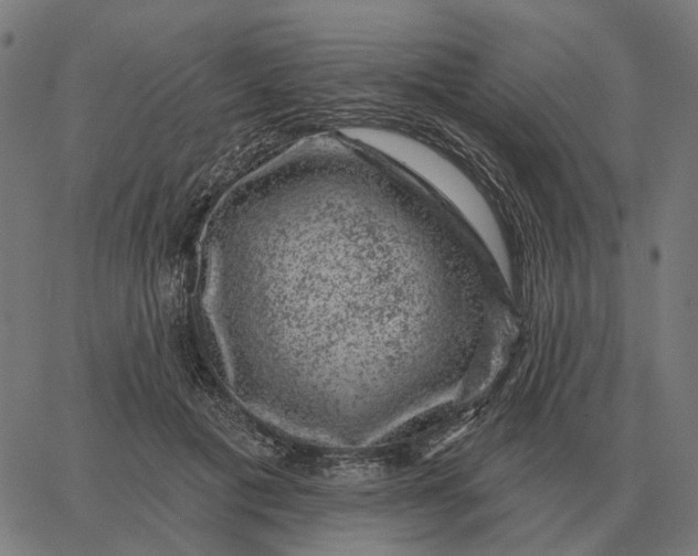 X0000065260601200603031830