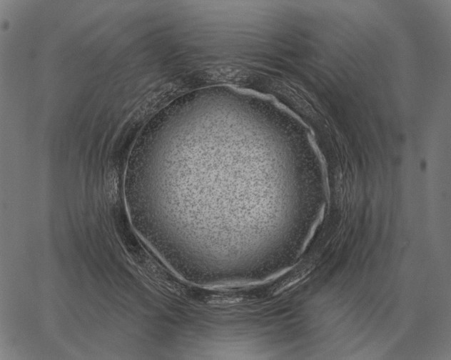 X0000065260602200603031830