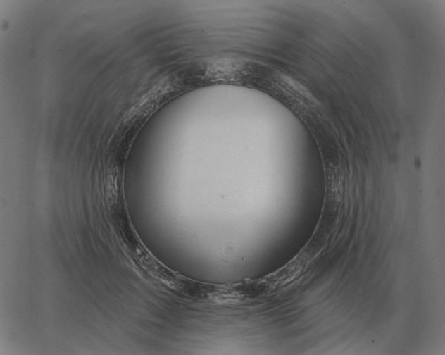 X0000065260603200603031830