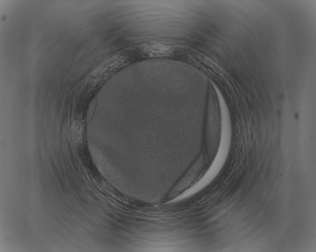 X0000065260604200603031830