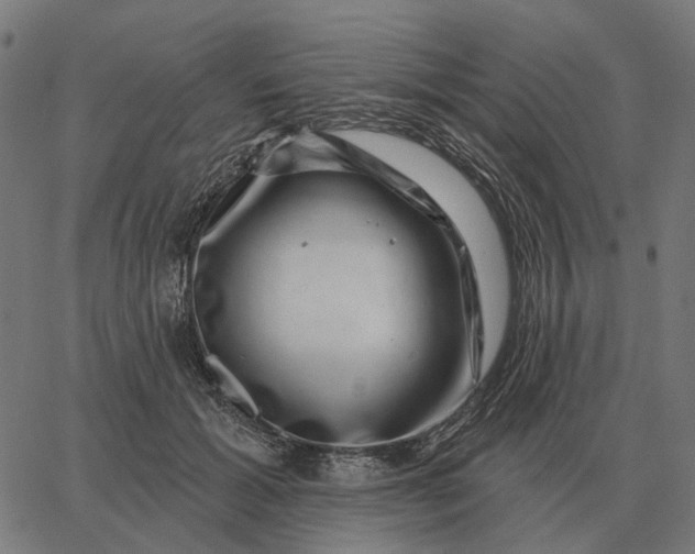 X0000065260605200603031830