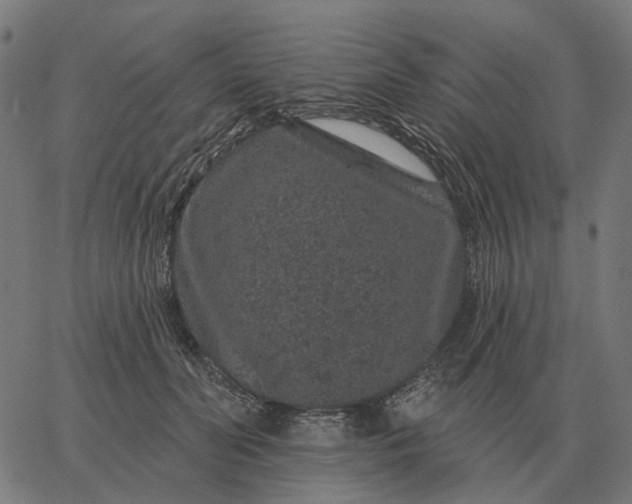 X0000065260606200603031830