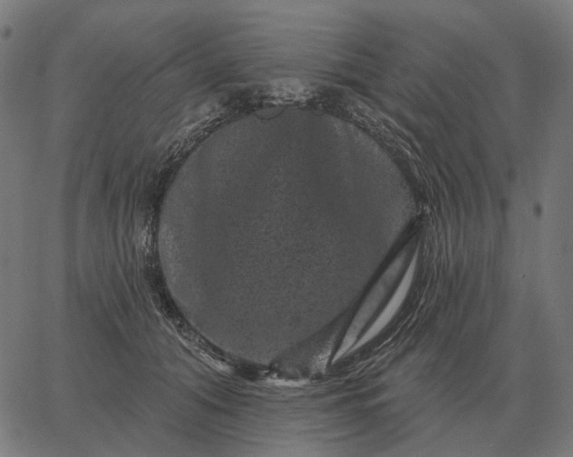 X0000065260608200603031830