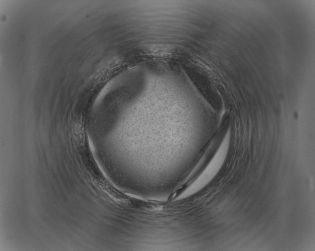 X0000065260609200603031830