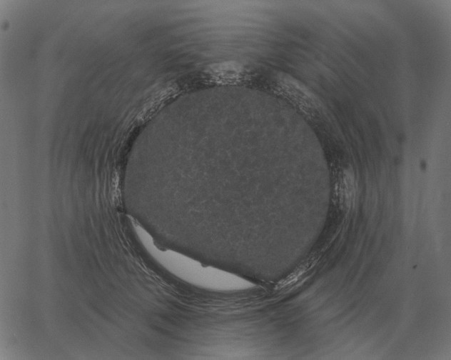 X0000065260610200603031830