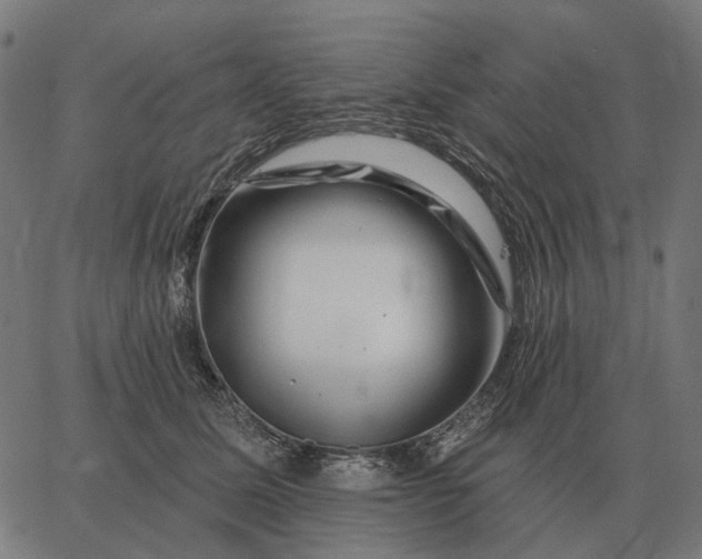 X0000065260611200603031830