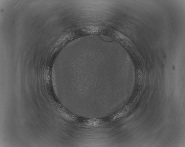 X0000065260612200603031830