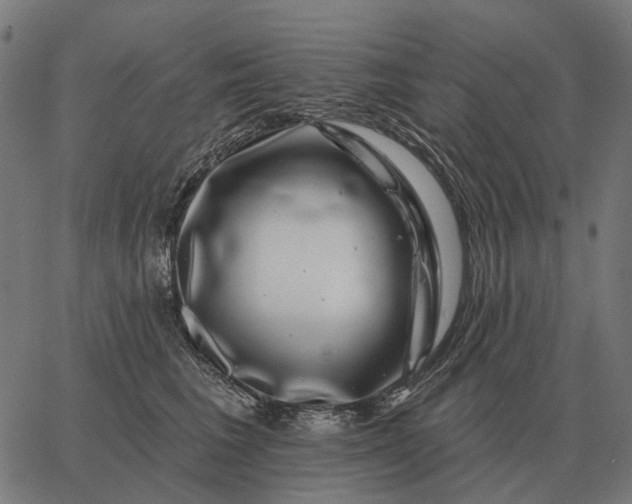 X0000065260613200603031830