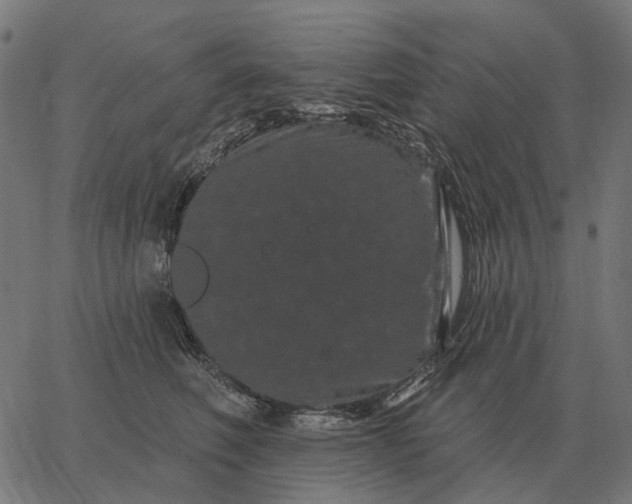 X0000065260614200603031830