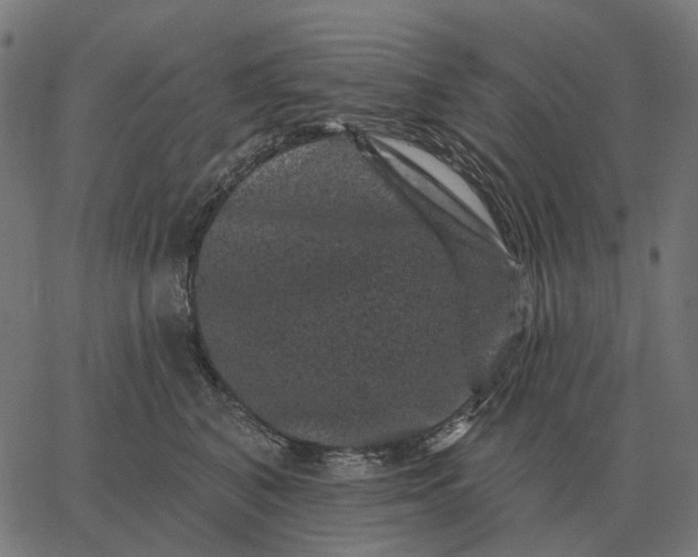 X0000065260616200603031830