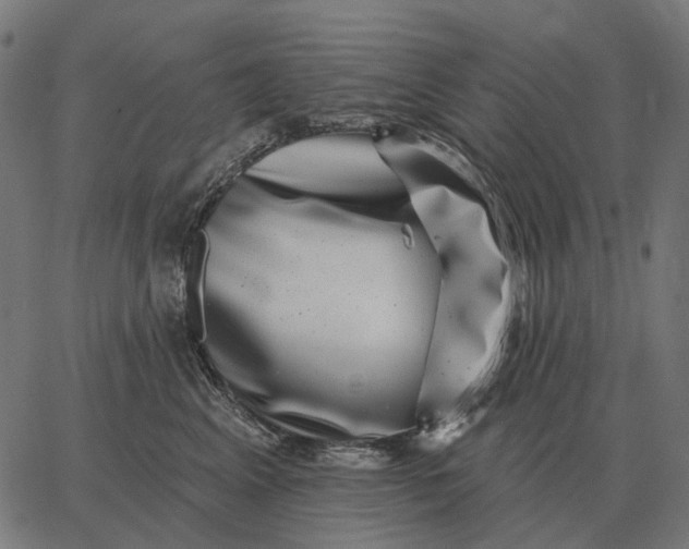 X0000065260617200603031830