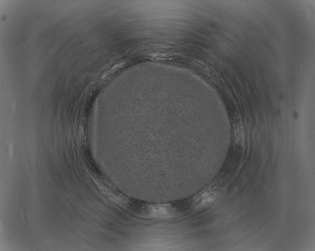 X0000065260618200603031830