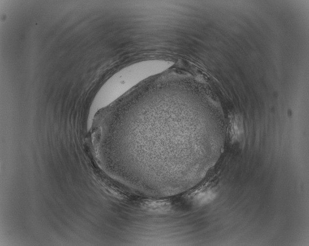 X0000065260619200603031830