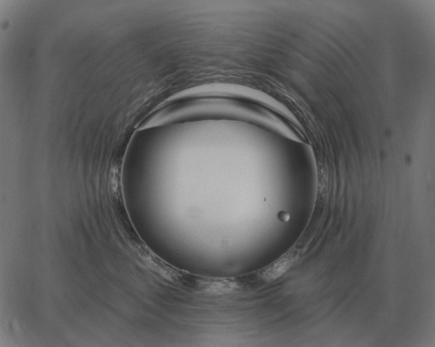 X0000065260621200603031830