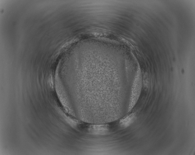 X0000065260622200603031830