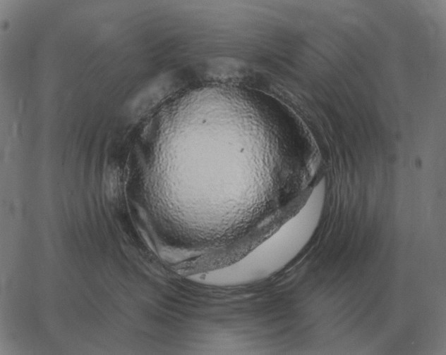 X0000065260623200603031830