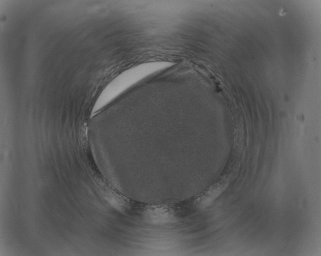 X0000065260624200603031830