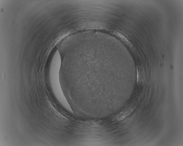 X0000065260627200603031829