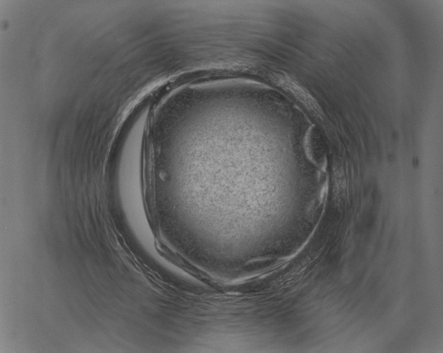 X0000065260628200603031829