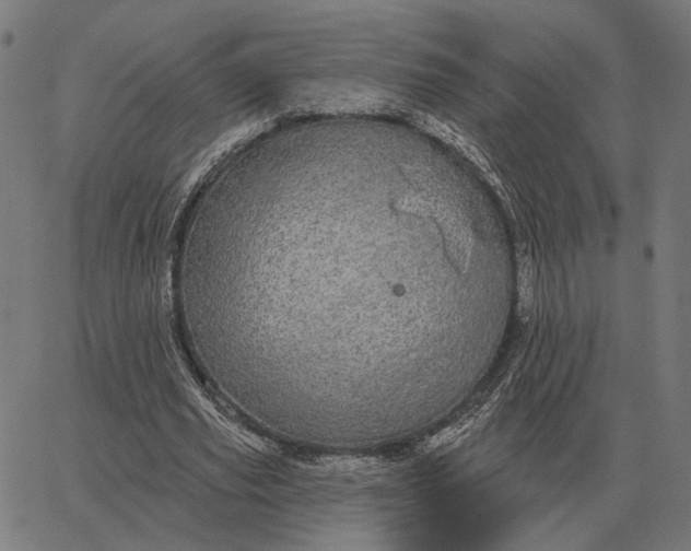 X0000065260629200603031829