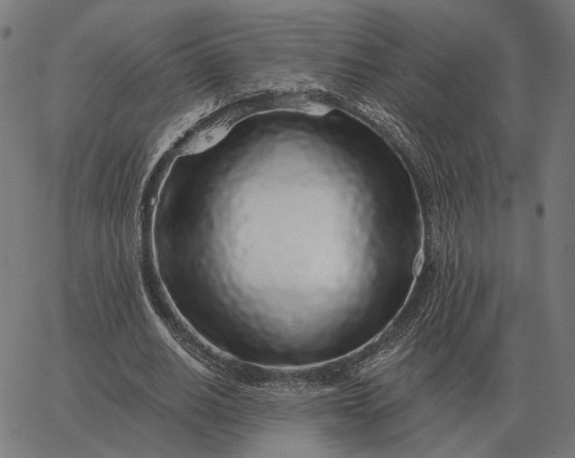 X0000065260630200603031829