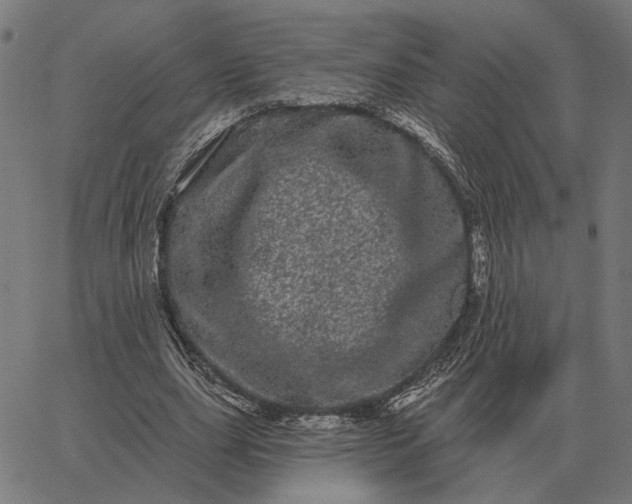 X0000065260631200603031829