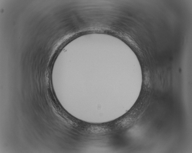 X0000065260632200603031829