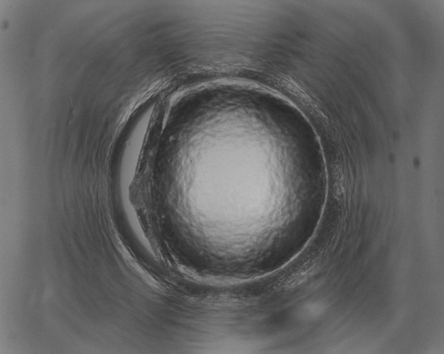 X0000065260634200603031829