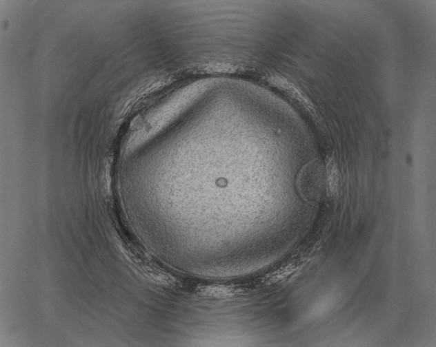 X0000065260635200603031829