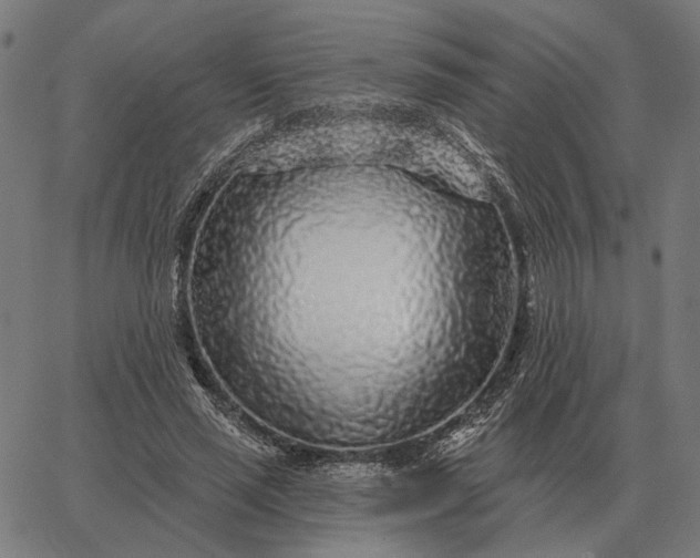 X0000065260637200603031829