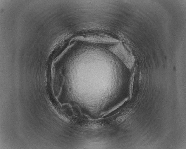 X0000065260638200603031829